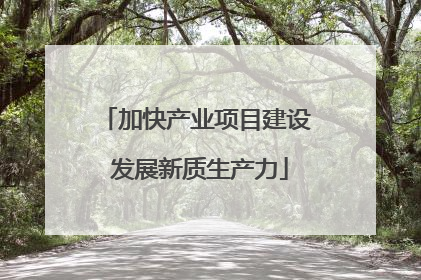 加快产业项目建设 发展新质生产力