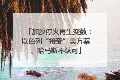 加沙停火再生变数：以色列“接受”美方案、哈马斯不认可