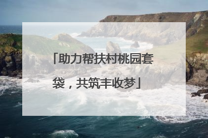 助力帮扶村桃园套袋，共筑丰收梦