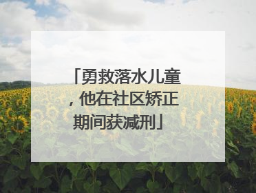 勇救落水儿童，他在社区矫正期间获减刑