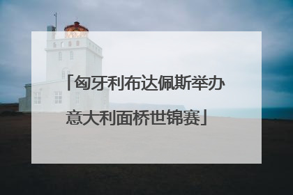 匈牙利布达佩斯举办意大利面桥世锦赛