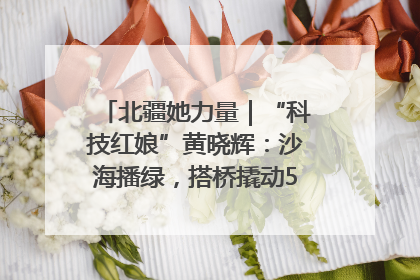北疆她力量｜“科技红娘”黄晓辉：沙海播绿，搭桥撬动5.3亿研发