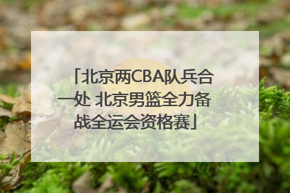 北京两CBA队兵合一处 北京男篮全力备战全运会资格赛