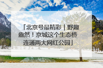北京号最精彩｜野趣盎然！京城这个生态桥连通两大网红公园