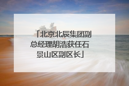 北京北辰集团副总经理胡浩获任石景山区副区长
