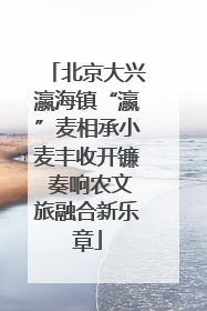 北京大兴瀛海镇“瀛”麦相承小麦丰收开镰 奏响农文旅融合新乐章