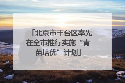 北京市丰台区率先在全市推行实施“青苗培优”计划