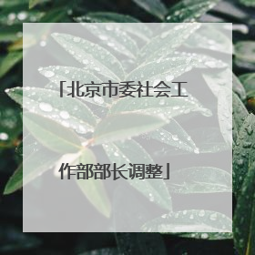 北京市委社会工作部部长调整