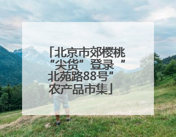 北京市郊樱桃“尖货”登录“北苑路88号”农产品市集