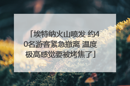埃特纳火山喷发 约40名游客紧急撤离 温度极高感觉要被烤焦了
