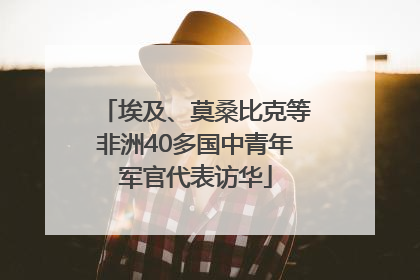 埃及、莫桑比克等非洲40多国中青年军官代表访华