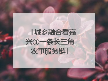 城乡融合看嘉兴③一条长三角农事服务链
