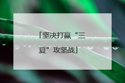 坚决打赢“三夏”攻坚战
