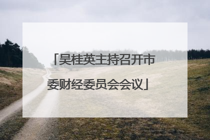 吴桂英主持召开市委财经委员会会议