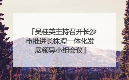 吴桂英主持召开长沙市推进长株潭一体化发展领导小组会议