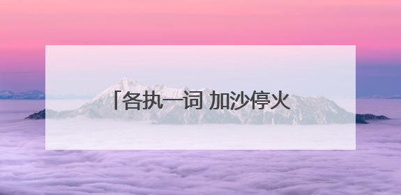 各执一词 加沙停火方案陷“罗生门”
