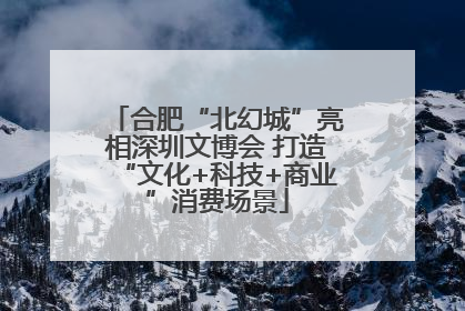 合肥“北幻城”亮相深圳文博会 打造“文化+科技+商业”消费场景