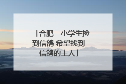 合肥一小学生捡到信鸽 希望找到信鸽的主人