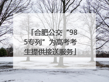 合肥公交“985专列”为高考考生提供接送服务