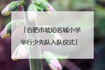 合肥市琥珀名城小学举行少先队入队仪式
