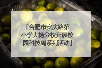 合肥市安庆路第三小学大杨分校开展校园科技周系列活动