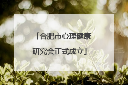 合肥市心理健康研究会正式成立