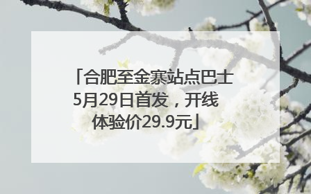 合肥至金寨站点巴士5月29日首发，开线体验价29.9元
