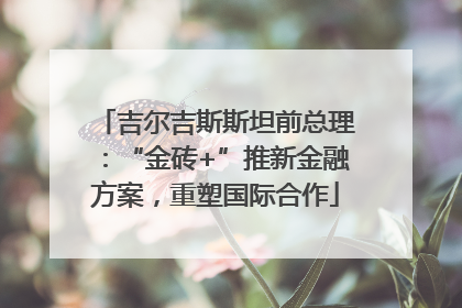 吉尔吉斯斯坦前总理：“金砖+”推新金融方案，重塑国际合作