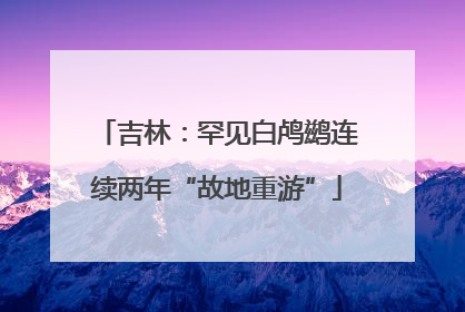 吉林：罕见白鸬鹚连续两年“故地重游”