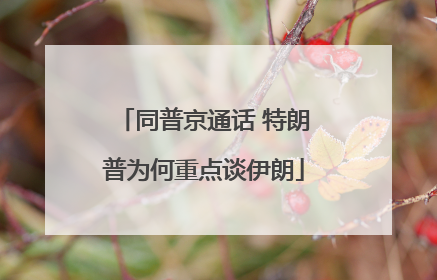 同普京通话 特朗普为何重点谈伊朗