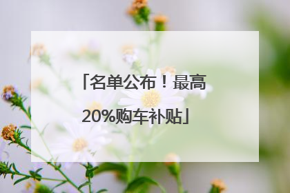 名单公布！最高20%购车补贴