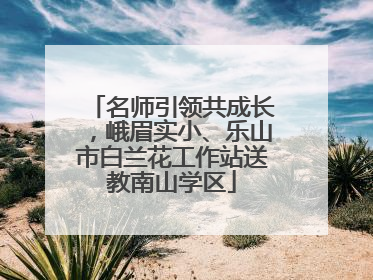 名师引领共成长，峨眉实小、乐山市白兰花工作站送教南山学区