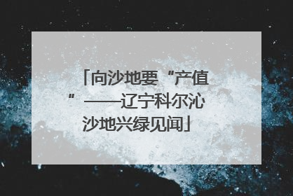 向沙地要“产值”——辽宁科尔沁沙地兴绿见闻