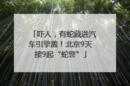 吓人，有蛇藏进汽车引擎盖！北京9天接9起“蛇警”