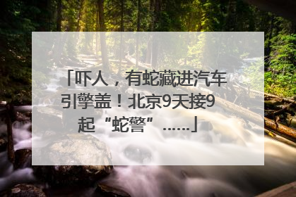 吓人，有蛇藏进汽车引擎盖！北京9天接9起“蛇警”……