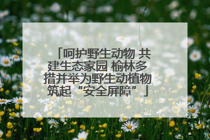 呵护野生动物 共建生态家园 榆林多措并举为野生动植物筑起“安全屏障”