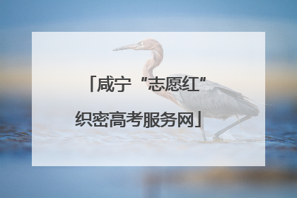 咸宁“志愿红”织密高考服务网