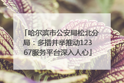 哈尔滨市公安局松北分局：多措并举推动12367服务平台深入人心