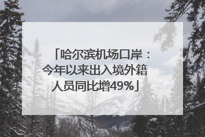 哈尔滨机场口岸：今年以来出入境外籍人员同比增49%
