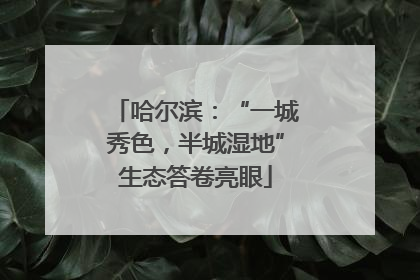 哈尔滨：“一城秀色，半城湿地”生态答卷亮眼
