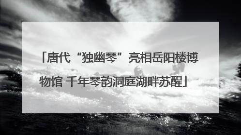 唐代“独幽琴”亮相岳阳楼博物馆 千年琴韵洞庭湖畔苏醒