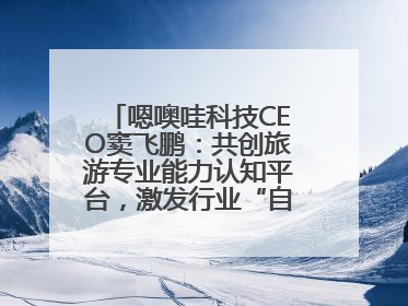 嗯噢哇科技CEO窦飞鹏：共创旅游专业能力认知平台，激发行业“自生长”力量