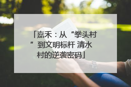 嘉禾：从“拳头村”到文明标杆 清水村的逆袭密码
