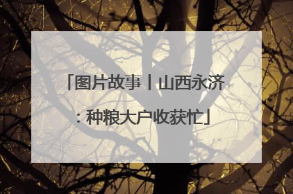 图片故事丨山西永济：种粮大户收获忙