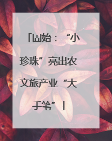 固始：“小珍珠”亮出农文旅产业“大手笔”