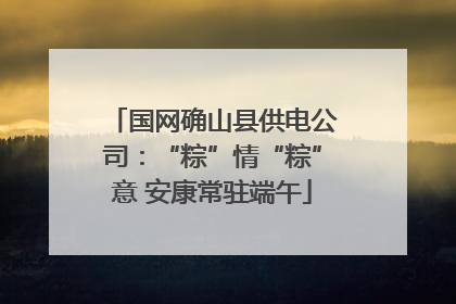 国网确山县供电公司：“粽”情“粽”意 安康常驻端午