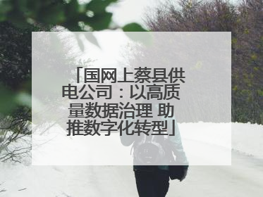 国网上蔡县供电公司：以高质量数据治理 助推数字化转型