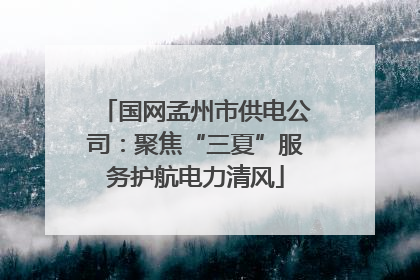 国网孟州市供电公司：聚焦“三夏”服务护航电力清风