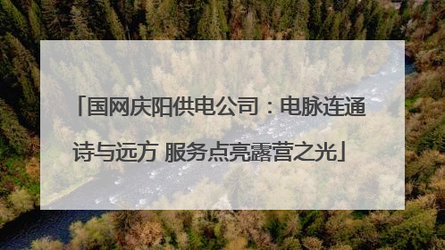 国网庆阳供电公司：电脉连通诗与远方 服务点亮露营之光