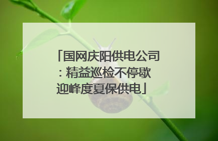 国网庆阳供电公司：精益巡检不停歇 迎峰度夏保供电
